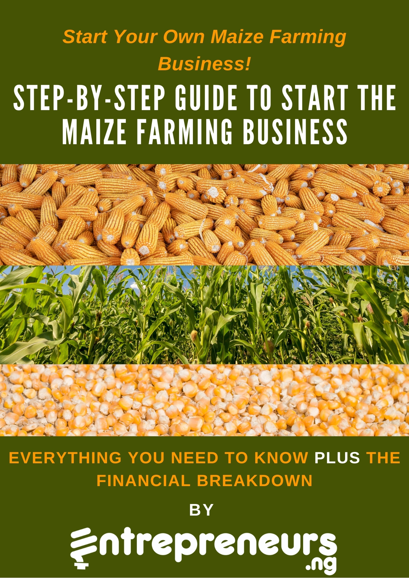 business plan on maize farming