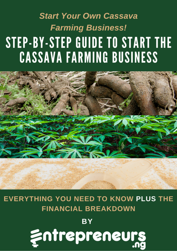 cassava farming business plan pdf